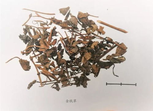 这9味名字带 草 的中药,都是治疗肝病的良将